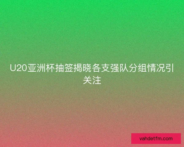 U20亚洲杯抽签揭晓各支强队分组情况引关注